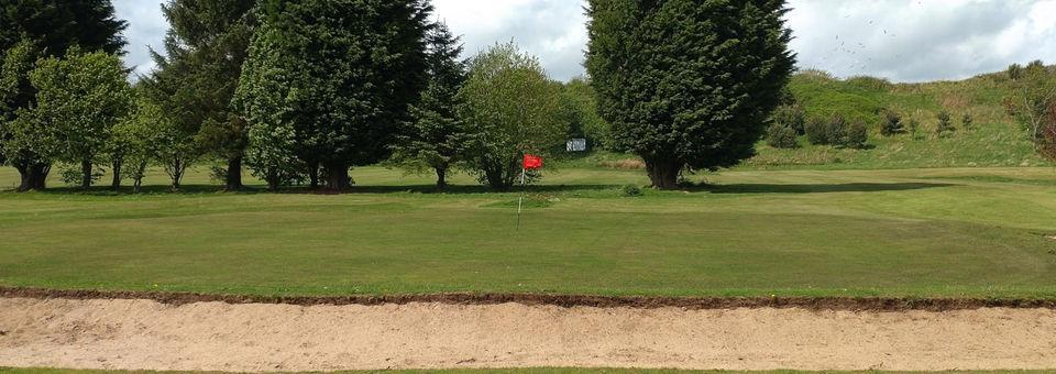 Leslie Golf Club - photo 6