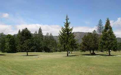 Laurel Pines 1