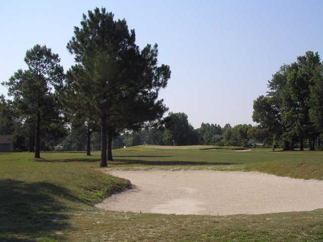 Shannon Greens Golf Club - photo 3