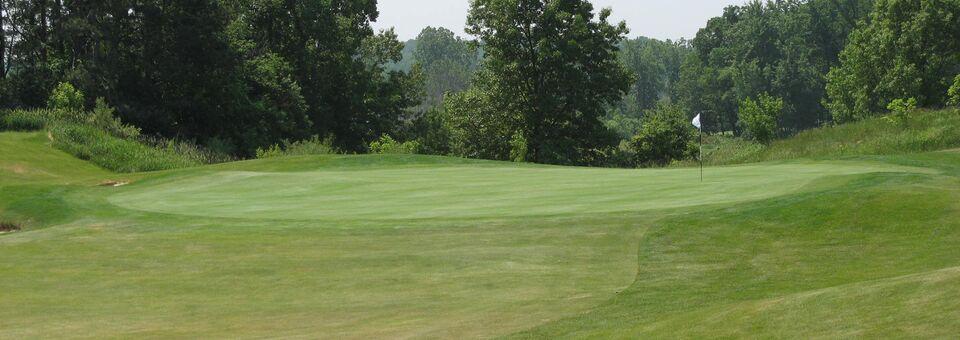 Pierce Lake Golf Course - photo 7