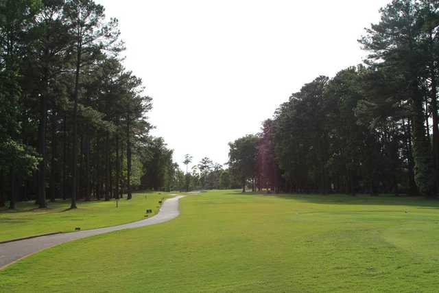 Honey Bee Golf Club - photo 2