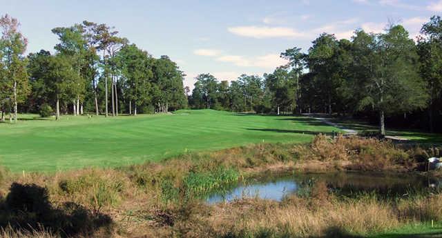 Ironclad Golf & Beer Garden - photo 4