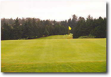 Manzanita Golf Course - photo 8