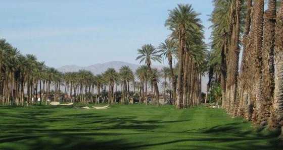 The Palms Golf Club - photo 4