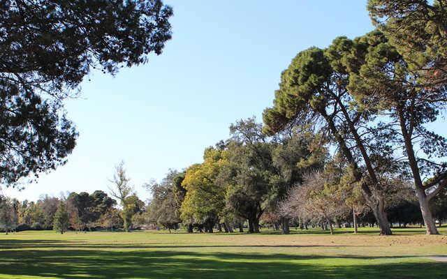 Modesto