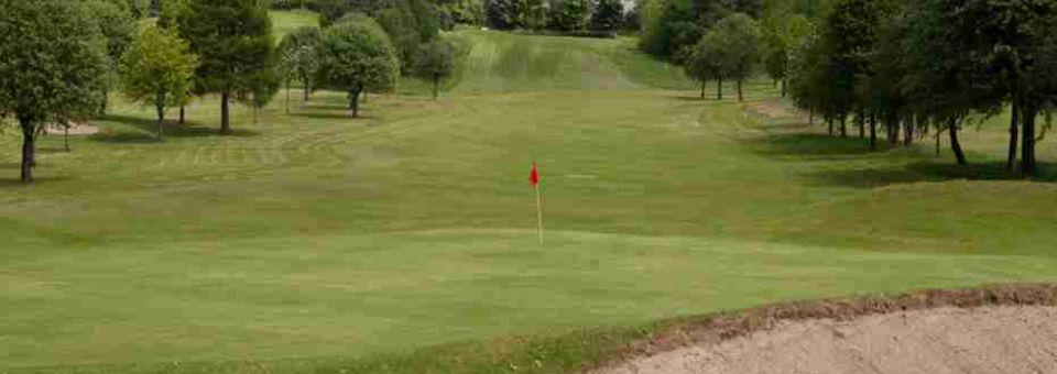Dalmuir Municipal Golf Course - photo 8
