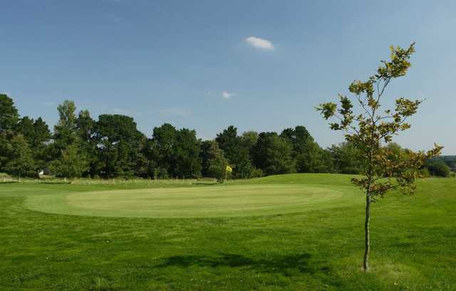 Wickham Park Golf Club - photo 4