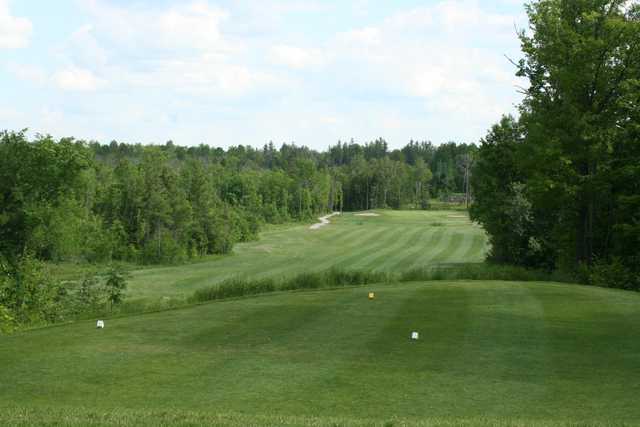 Whitetail Golf Club - Eganville - photo 3