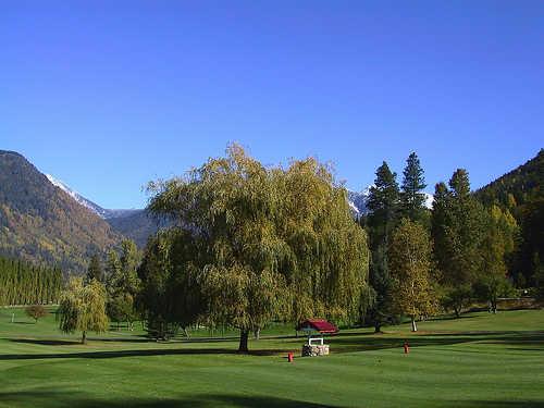 Kokanee Springs Resort Club - photo 4