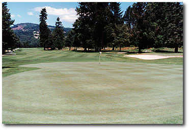 Lewis River Golf Course - photo 5