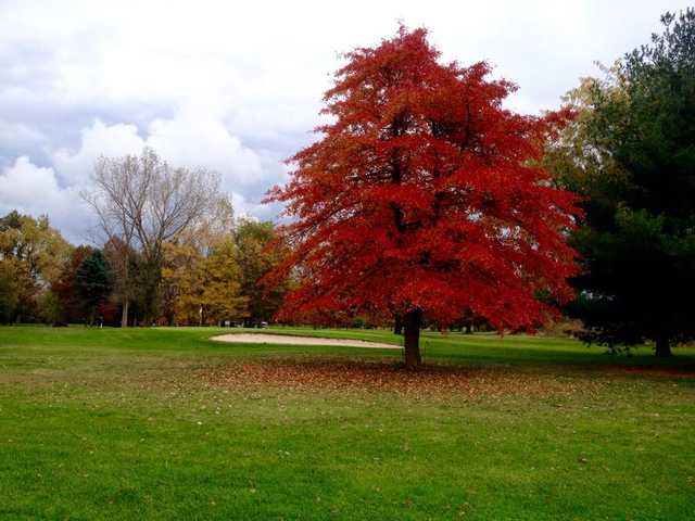 West Ottawa Golf Club - photo 4