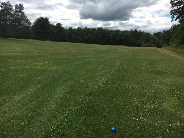 Speers Public Golf Course - photo 3
