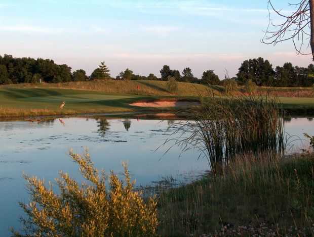 Golf Club of Dublin - photo 4