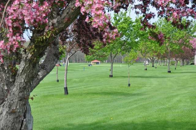 Humboldt Country Club - photo 1