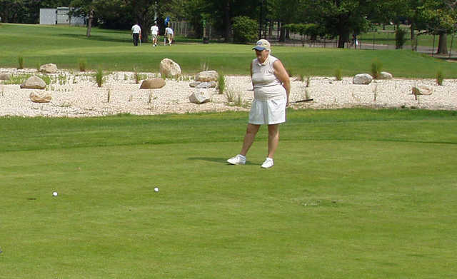 Flushing Meadows Pitch and Putt - photo 3