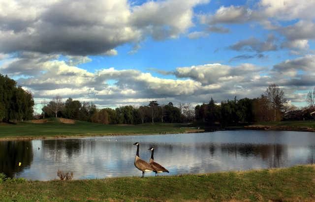 Brentwood Golf Club - photo 3