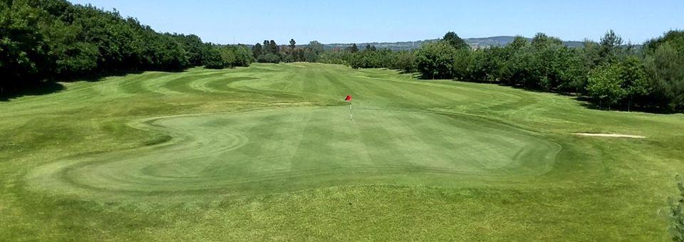 Ballyearl Golf Centre - photo 4