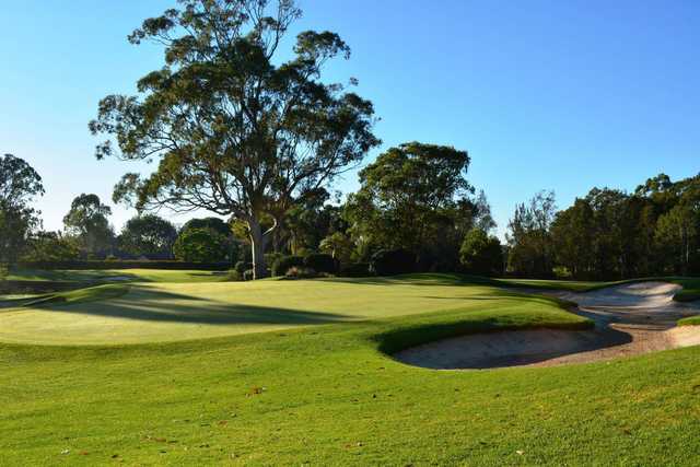 Ryde-Parramatta Golf Club - photo 1