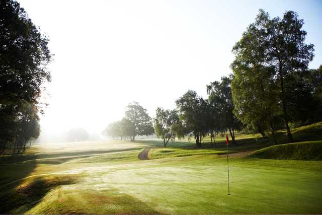 Royal Ashdown Forest Golf Club - West Course - photo 2