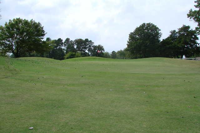 Wright Park Municipal Golf Course - photo 2