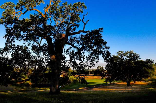 Empire Ranch Golf Club - photo 2
