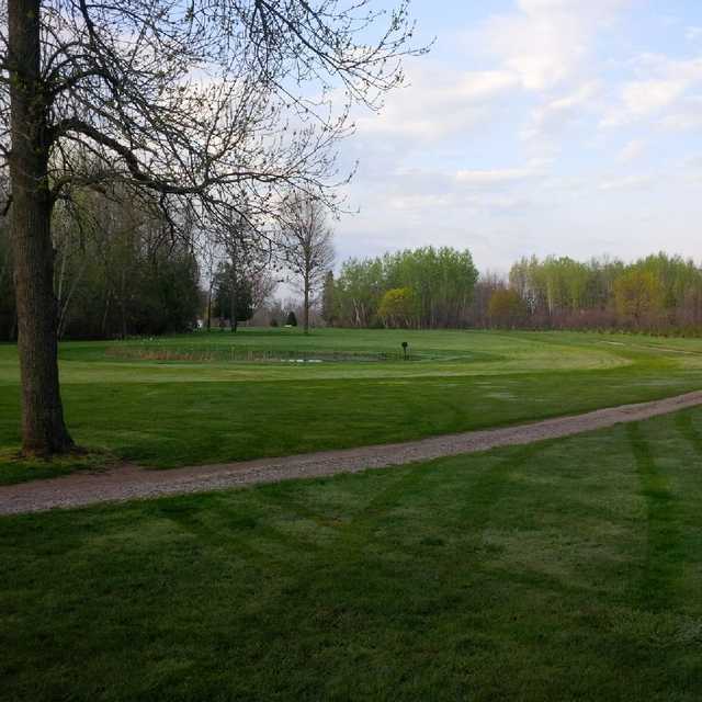 Big Cedar Golf Club - photo 2