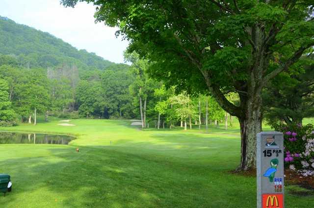 Mountain Glen - photo 2
