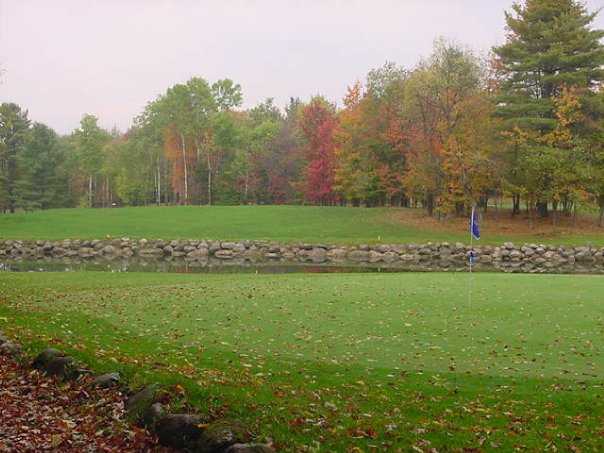 Woodgate Pines Golf Club - photo 3