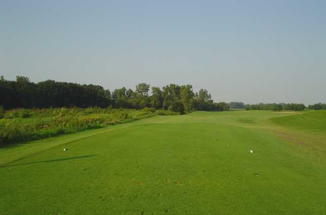 White Pines