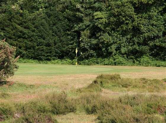 Limpsfield Chart Golf Club - photo 5