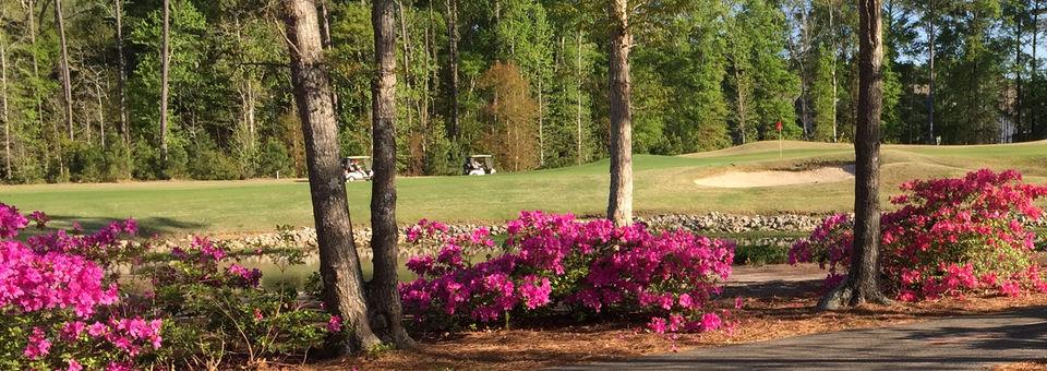 River Oaks Golf Club - photo 5
