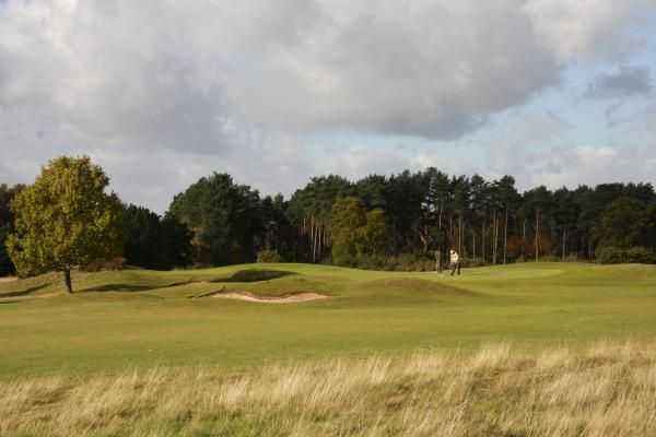 Market Rasen Golf Club - photo 8