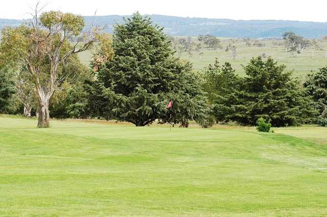 Cooma Golf Club - photo 7