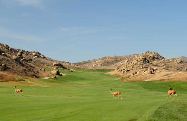 Rancho Del Sol - photo 5