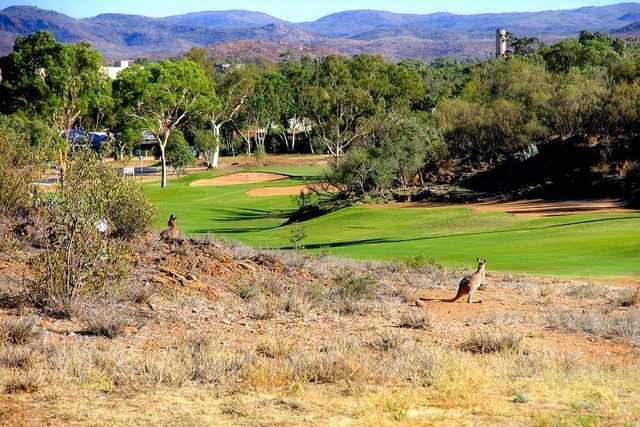 Alice Springs Golf Club - photo 6