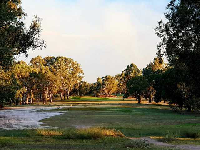 Georges River Golf Course - photo 8