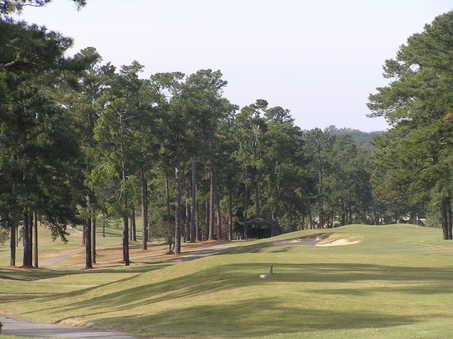 Forest Hills Golf Club - photo 4