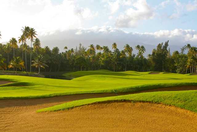 Bahia Beach Resort & Golf Club - photo 3