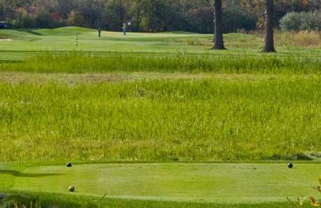 Pheasant Run Golf Club - photo 5