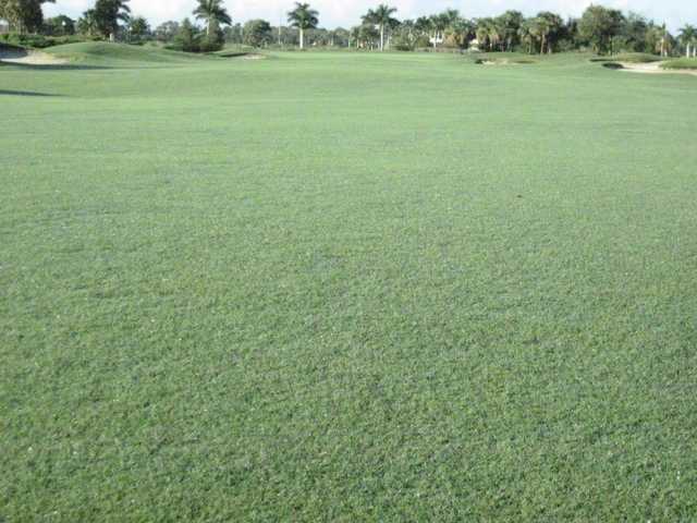 Heritage Bay Golf Course - photo 2