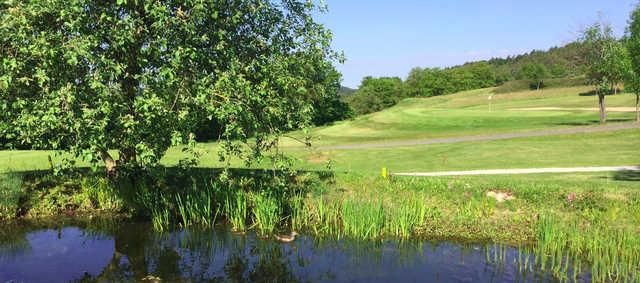 Golfclub Steigerwald in Geiselwind e.V. - photo 2