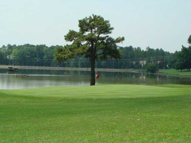 Lakeshore Golf Course - photo 6