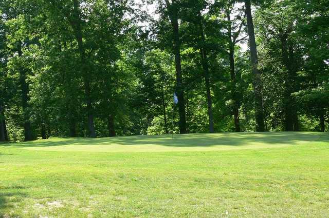 Forest Hills Golf Club - photo 3