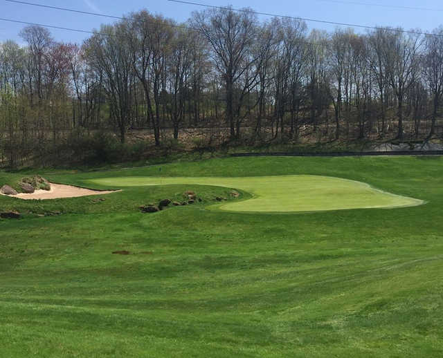 Wheeler Family Traditions Golf Club - photo 4