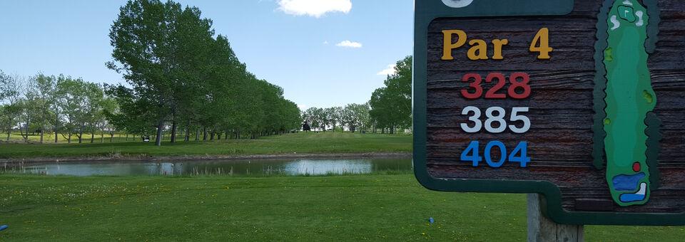 Bowden Hi-way Golf Course - photo 4