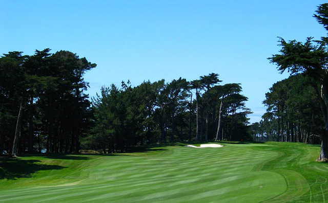 TPC Harding Park Golf Club - photo 3