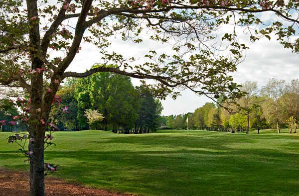 Lagoon Park Golf Course - photo 5