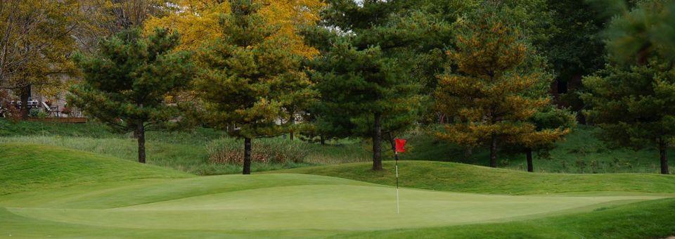White Hawk Country Club - photo 5