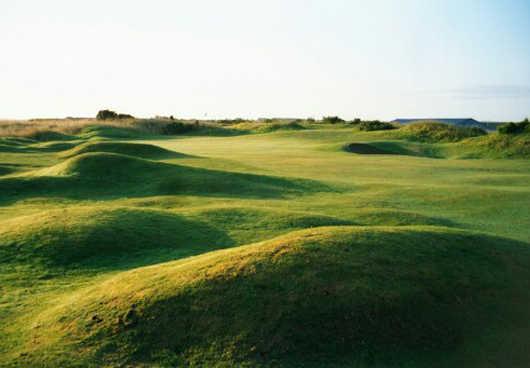 Tain Golf Club - photo 5
