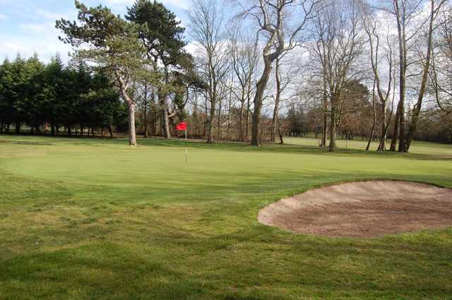 Ormeau Golf Club - photo 3